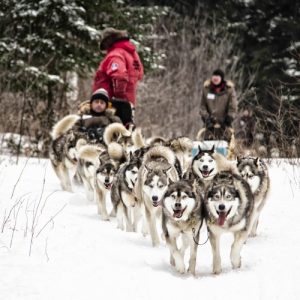 Séjours Québec