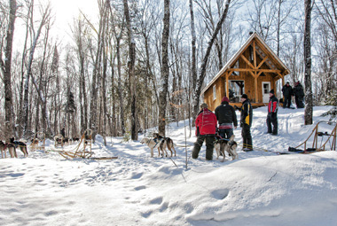 Chiens de traîneau au Canada (Quebec) 
