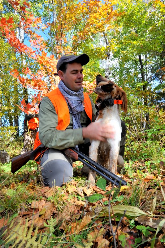 Chasse becasse petits gibiers Canada 