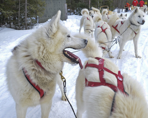 Photos de vacances en hiver
